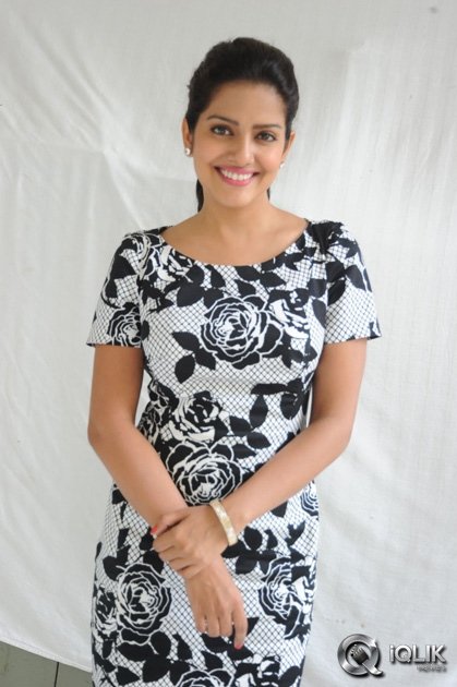 Vishaka-Singh-at-Rowdy-Fellow-Movie-Release-Press-Meet